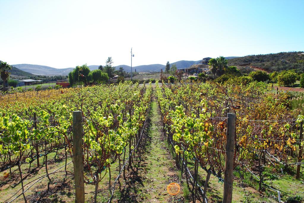 Rancho Cien Piedras Villa Sansoni Eksteriør billede