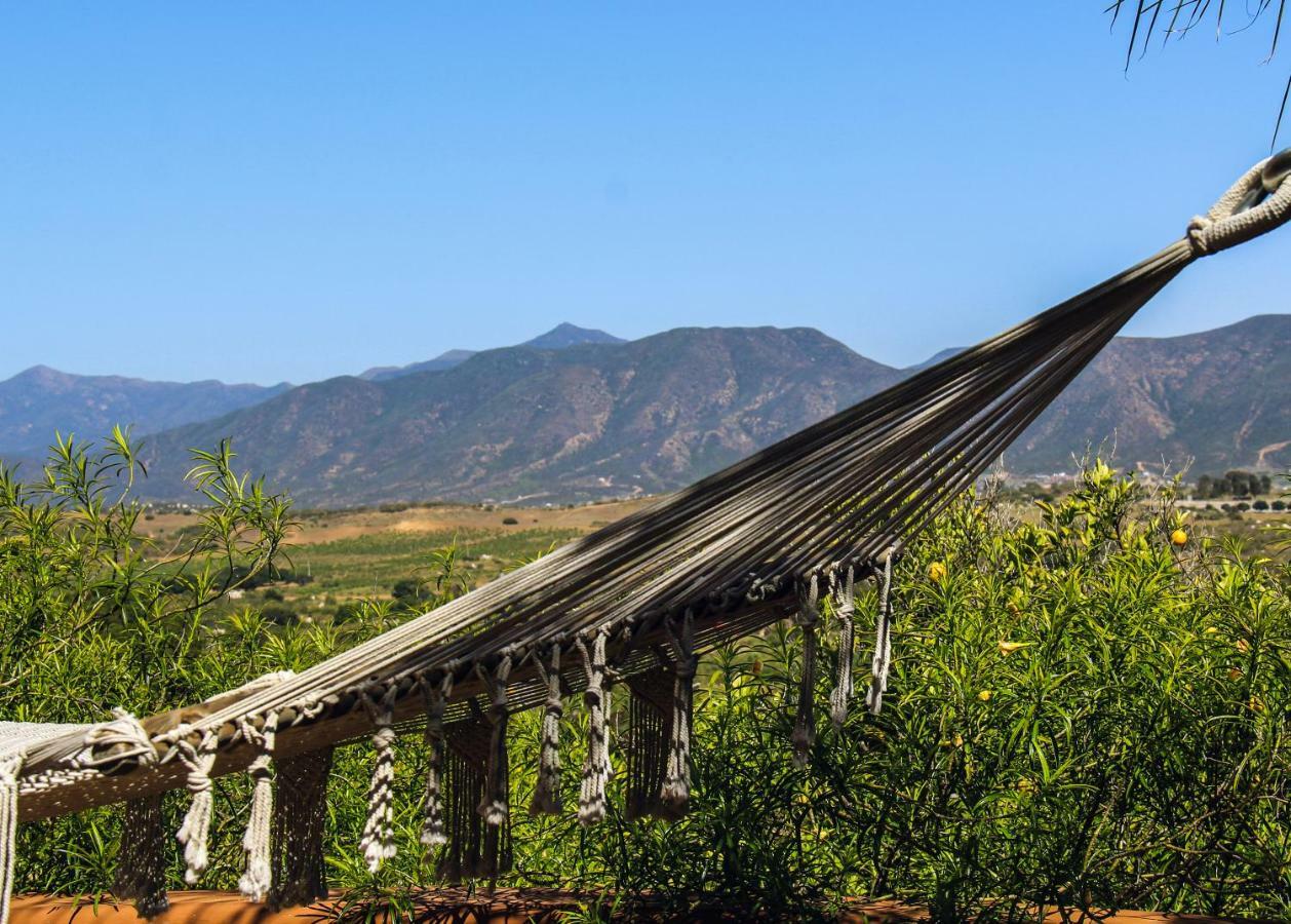 Rancho Cien Piedras Villa Sansoni Eksteriør billede